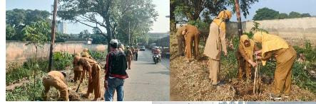 Dihari Lingkungan Hidup 2023, Pemkot  Tangerang Gelar Uji Emisi, Tanam Pohon Dan Susur Sungai Cisadane 