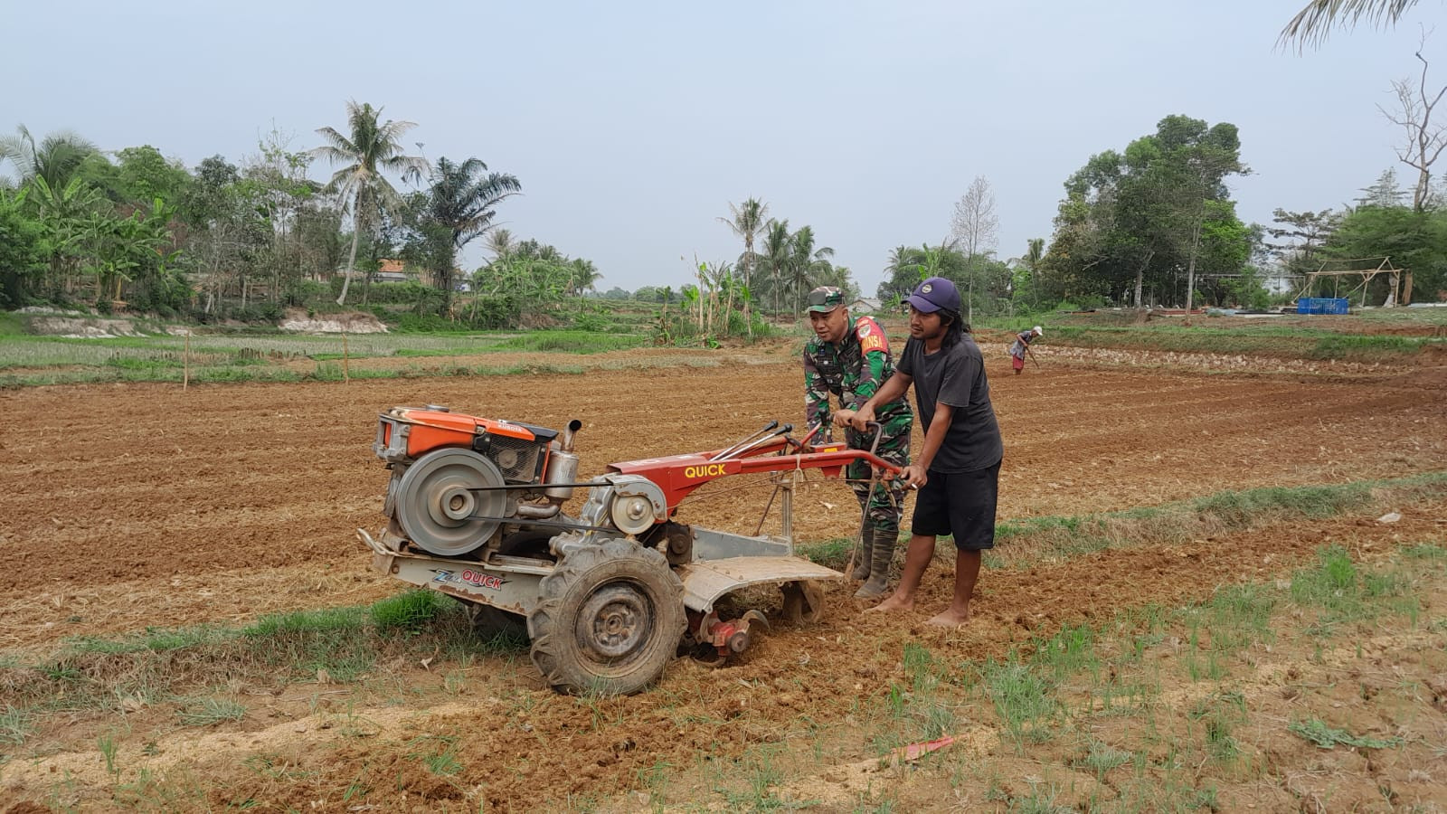 Wujudkan Ketahanan Pangan, Babinsa Koramil 13/Csk Dampingi Kelompok Tani