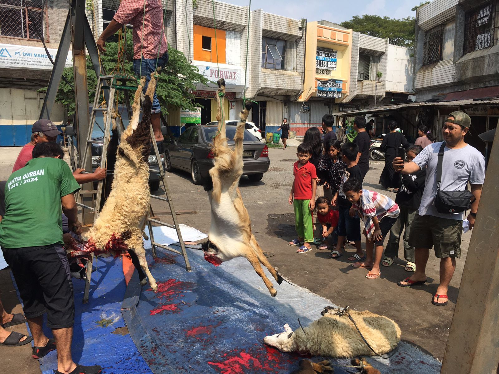 Peringati Hari Raya Idul Adha 1445 H, FORWAT Kembali Salurkan Hewan Qurban