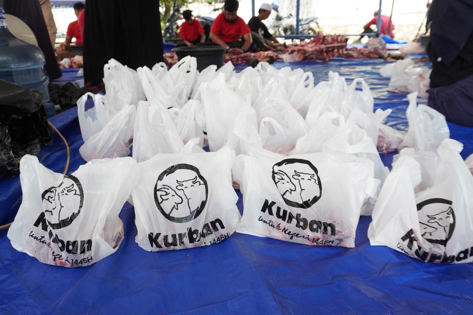 Berbagi Kebahagiaan, Bakrie Amanah Salurkan157 Hewan Kurban di Hari Raya Idul Adha 1445 H